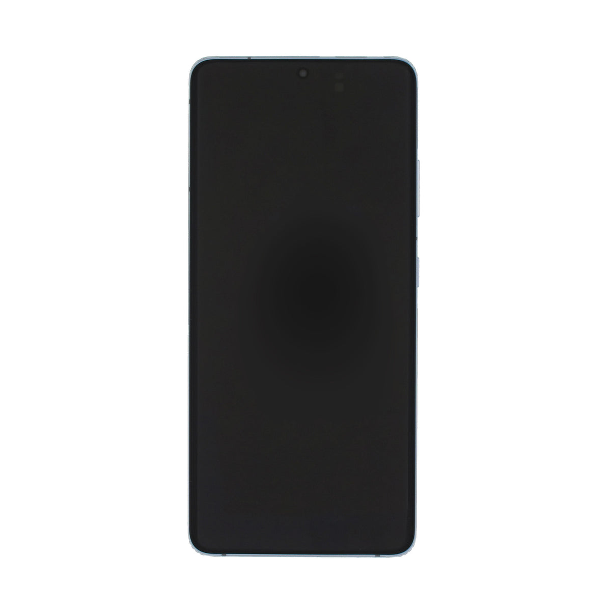 Samsung Galaxy S21 Ultra 5G G998B Display and Digitizer Complete Silver Service Pack