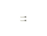 For iPhone X Bottom Screw Set Silver (10pcs)