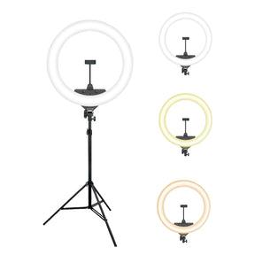 Rixus RXLG14 Selfie Ring Light And Holder Stick 14 inch