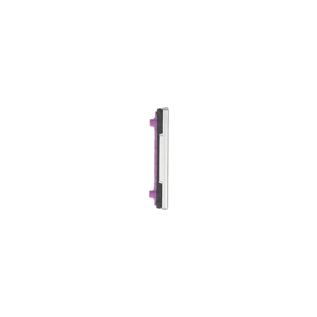 Samsung Galaxy S10 G973F, S10 Plus G975F Volume Button Silver